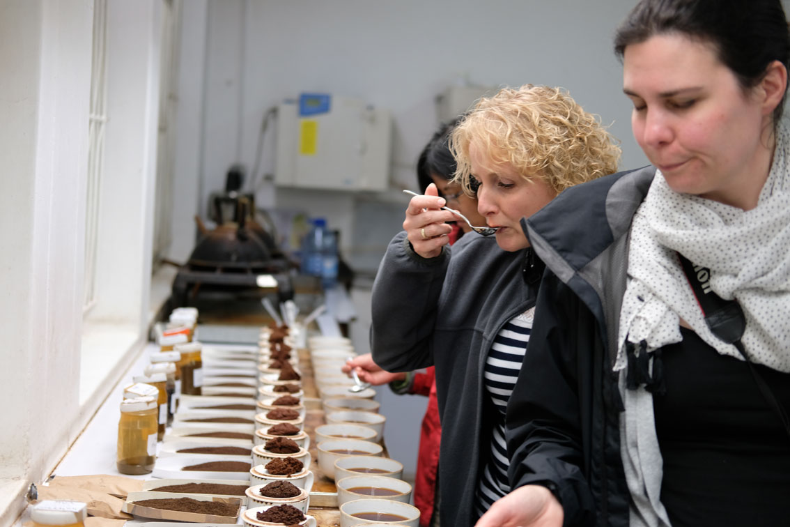 Tea in Motion