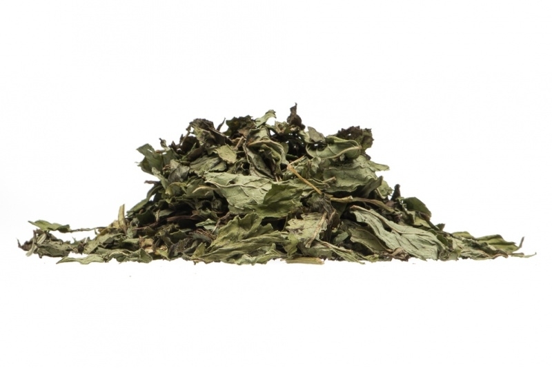Tea in Motion