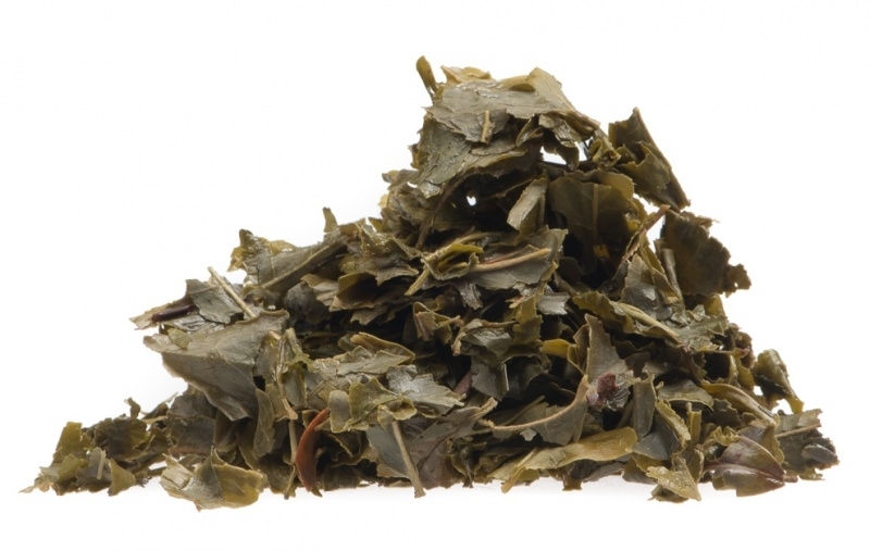 Tea in Motion