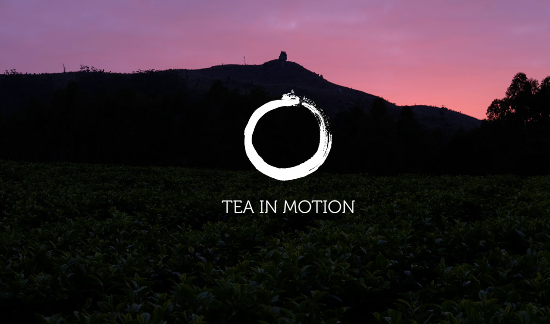 Tea in Motion