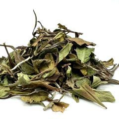 121 China Fujian Bai Mu Dan Bio