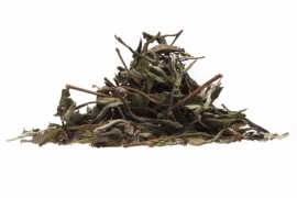 Tea in Motion