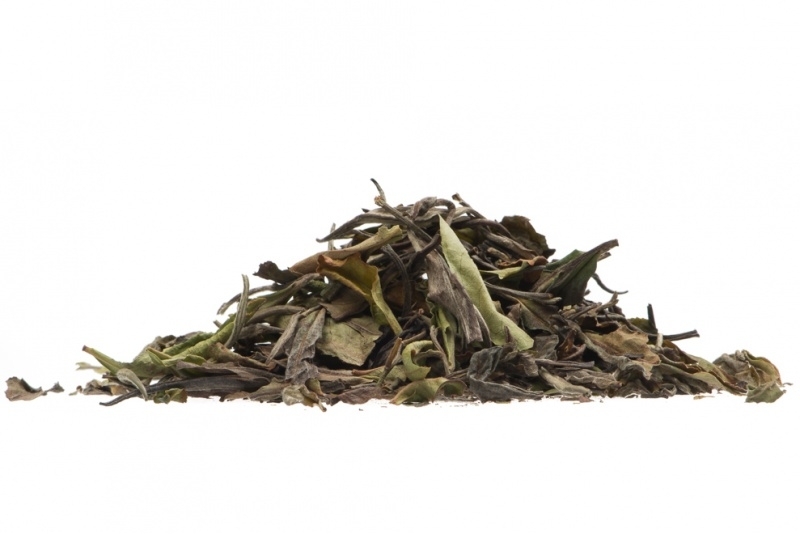 Tea in Motion