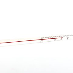 1874 Thee Thermometer