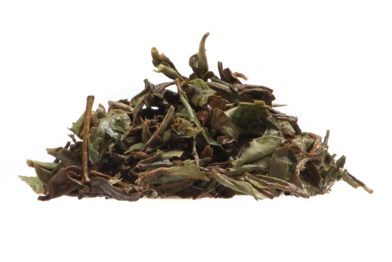 Tea in Motion