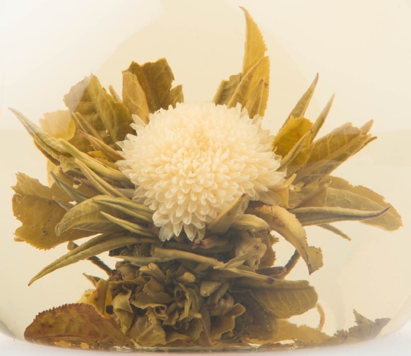 Tea in Motion