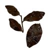 462 Taiwan Nantou GABA - Afbeelding 3