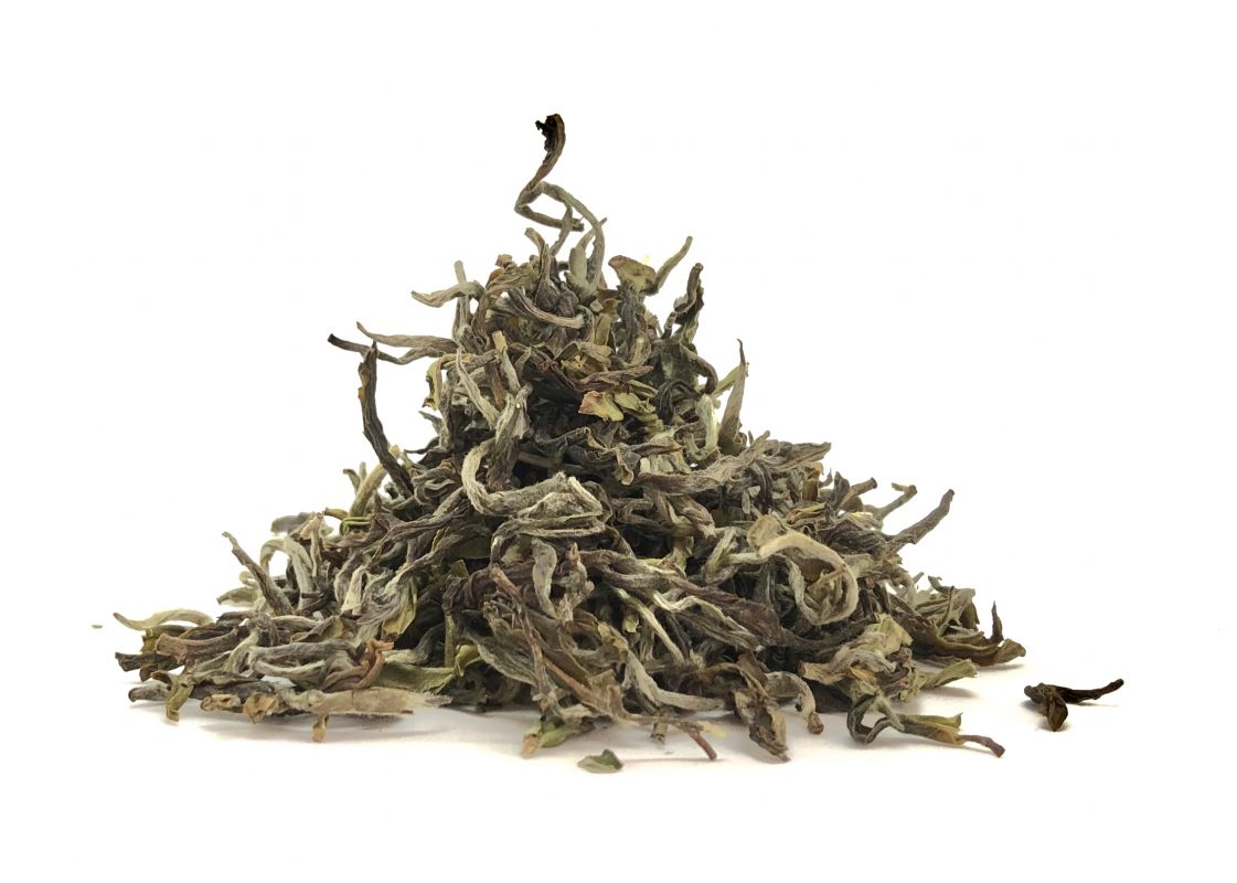 Tea in Motion