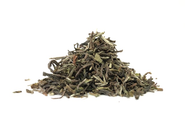 Tea in Motion