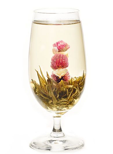 Tea in Motion