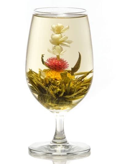 Tea in Motion
