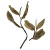 733 China Yunnan Ma Tai Old Tree Sheng Pu Er Rock Tea Cake 200 gram - Afbeelding 4