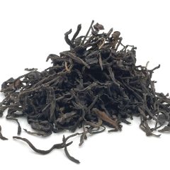 634 India Assam Wild Forrest