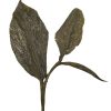 481 Ceylon Uva Idalgashinna Hand Twisted Blue Nettle Bio - Afbeelding 4