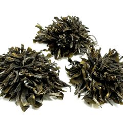 332 China Lu Mu Dan Bio