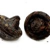 711 China Yunnan shu / hong Xiao Mo Gu