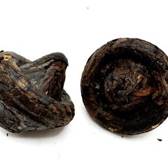 711 China Yunnan shu / hong Xiao Mo Gu