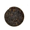 705 China Yunnan Shu Pu Er Jingmai
