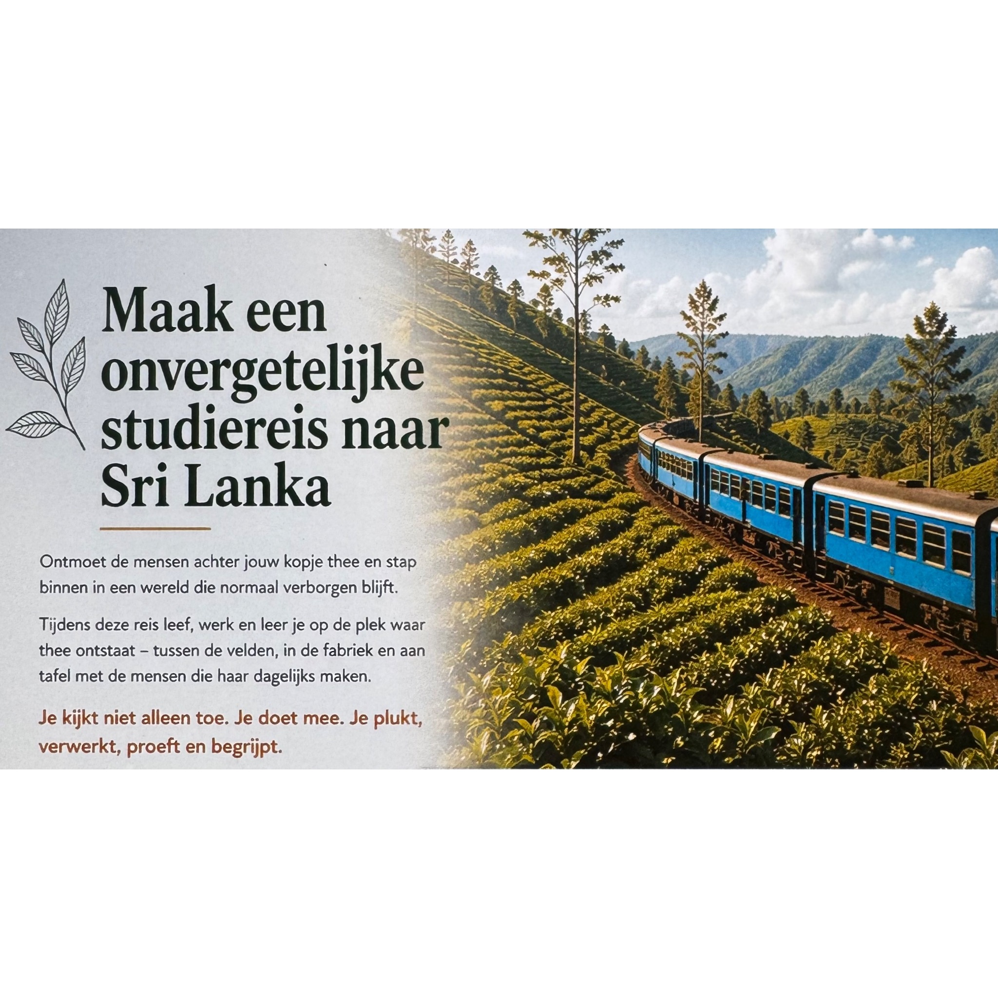 Maak een onvergetelijke studiereis naar Sri Lanka